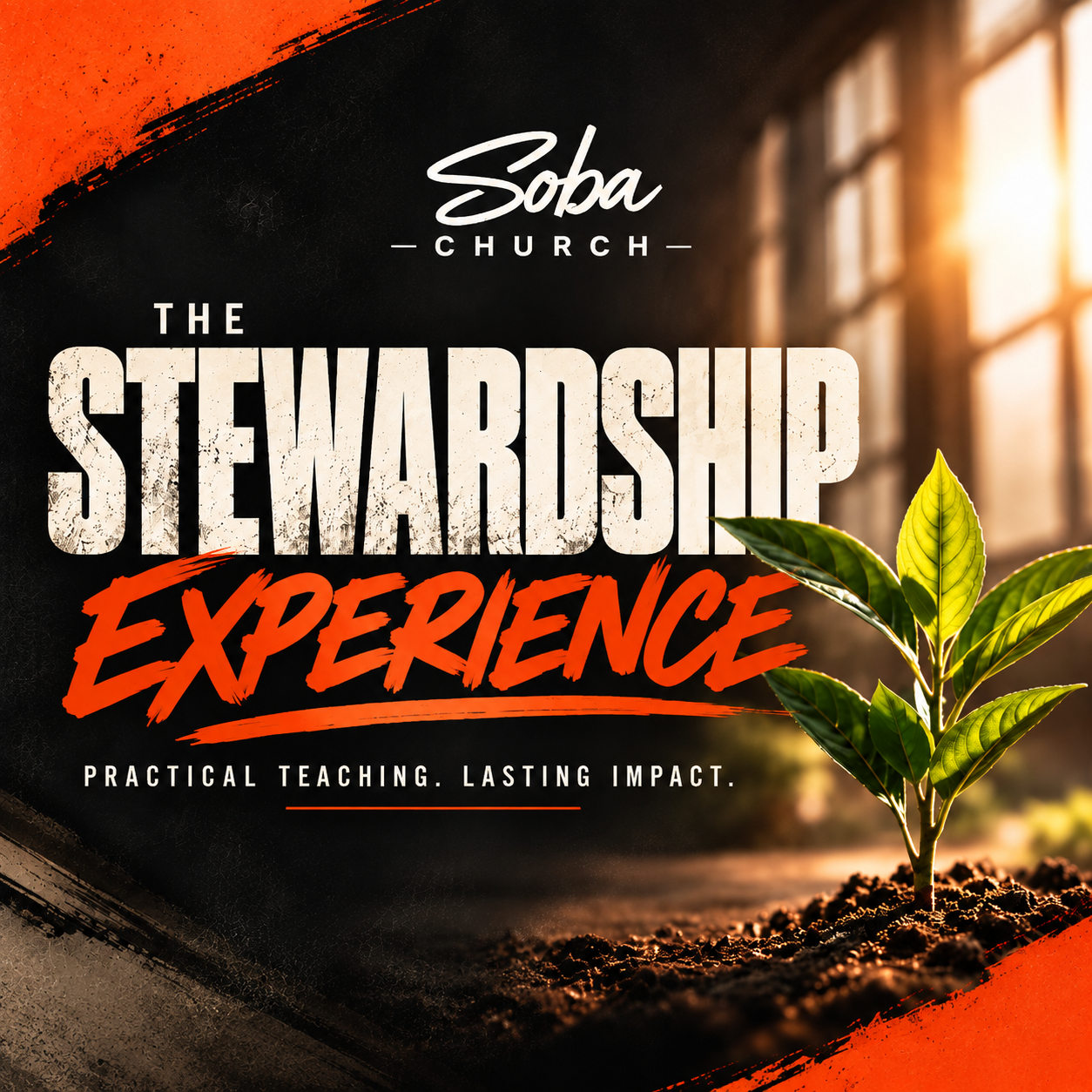 The Stewardship Experience